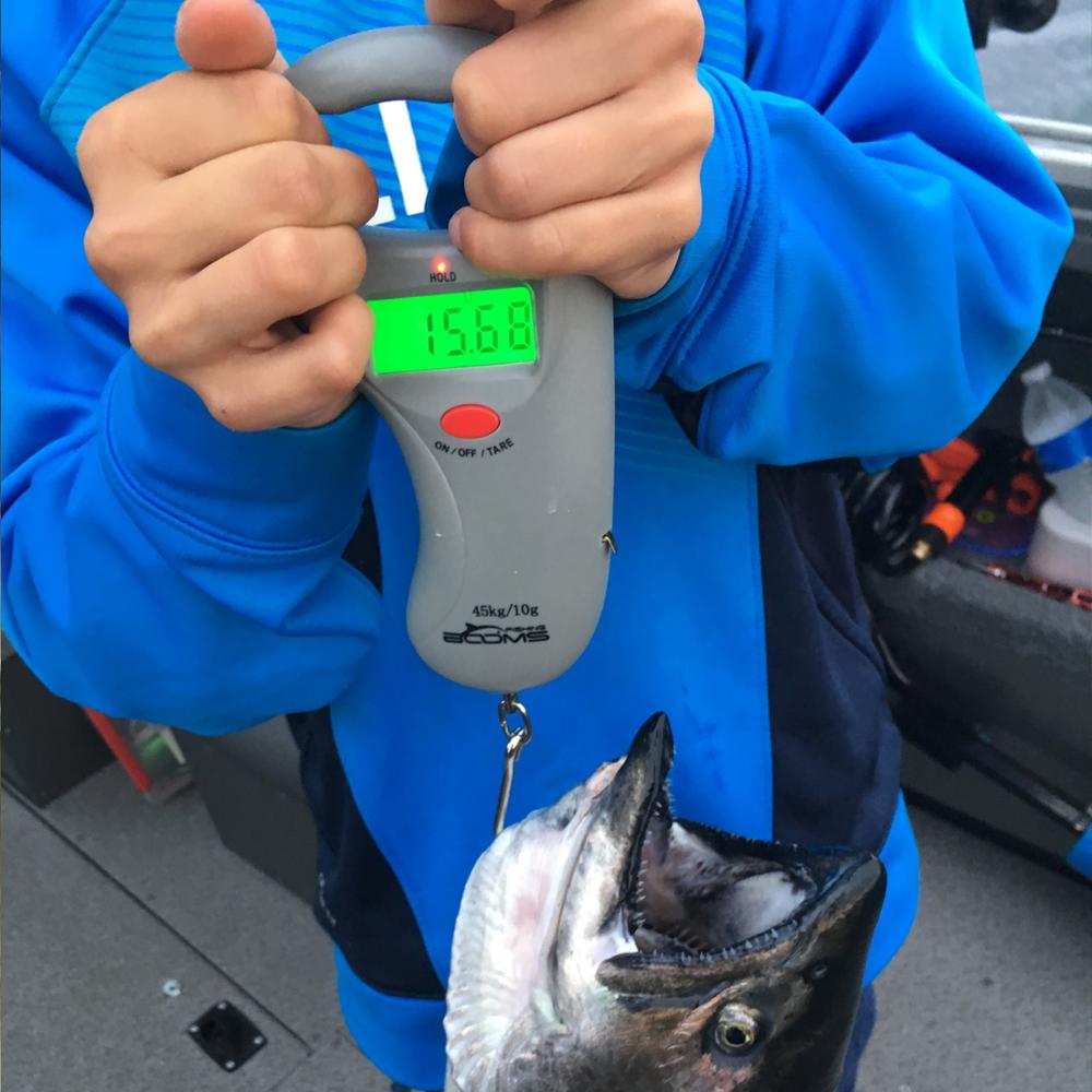 Booms Fishing C02 Fish Scale Digital Fishing Weight Scale with Tape Measure