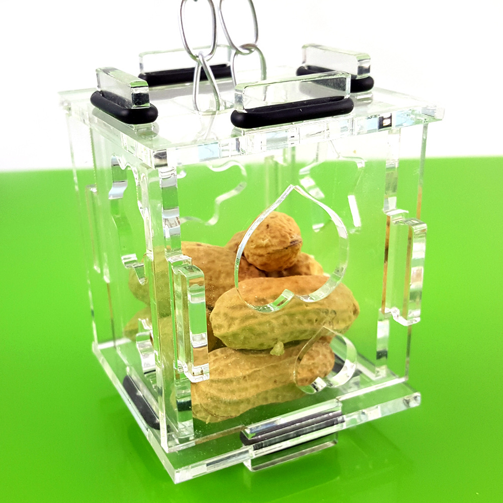 Birds Foraging Toys Parrot Intelligence Training Acrylic Fruits Food Feeder Cage Impovement Chewing Toys Pet Birds Products