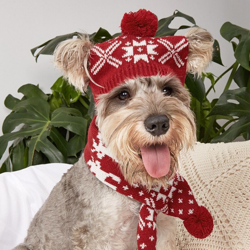 Conjunto de gorro y bufanda de punto para mascota, traje de invierno cálido para cachorro, Chihuahua, accesorios de Navidad