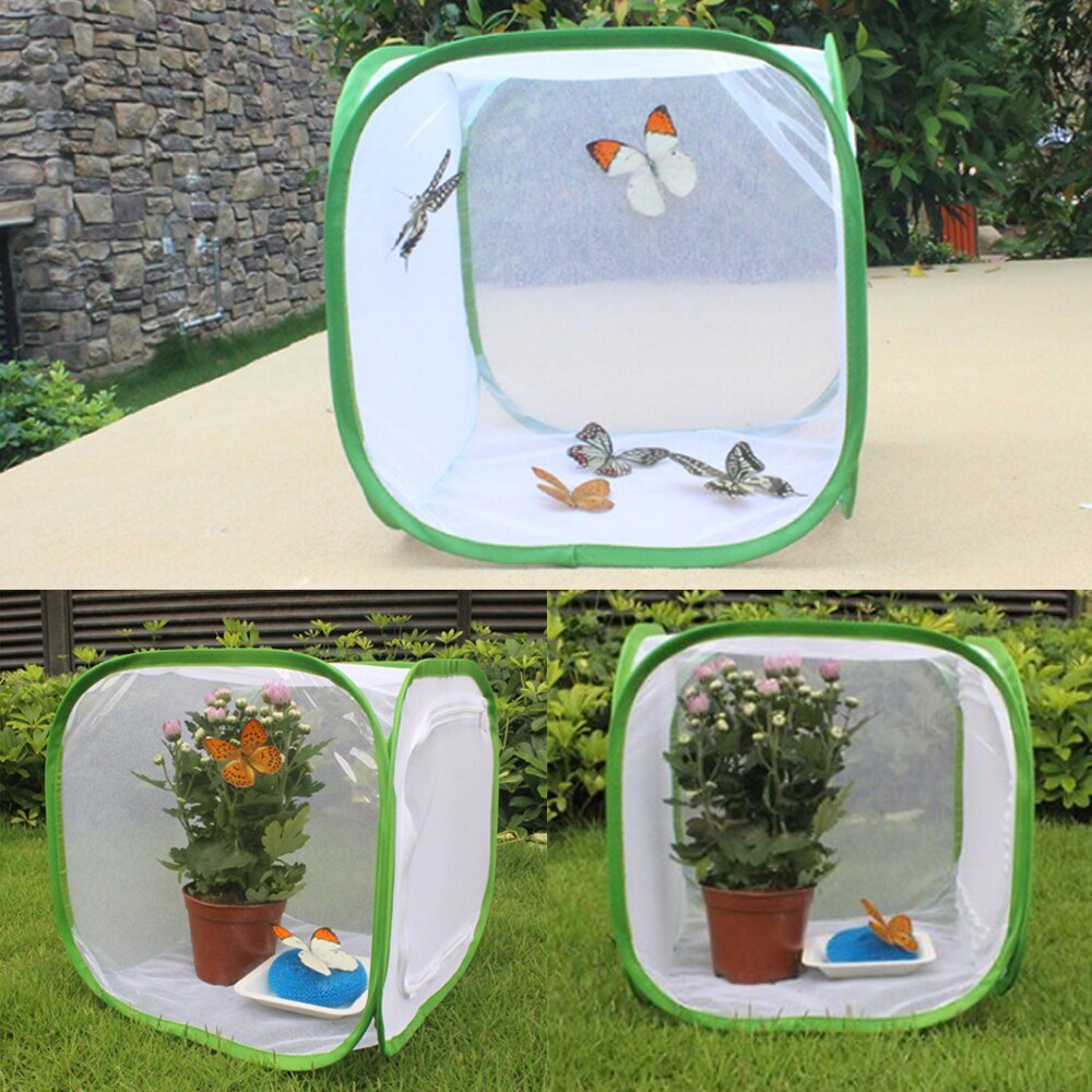 Portable Insect Cage Foldable Butterfly Habitat Cage Housing Enclosure Mesh Cloth Iron Insect Supplies Pet Product