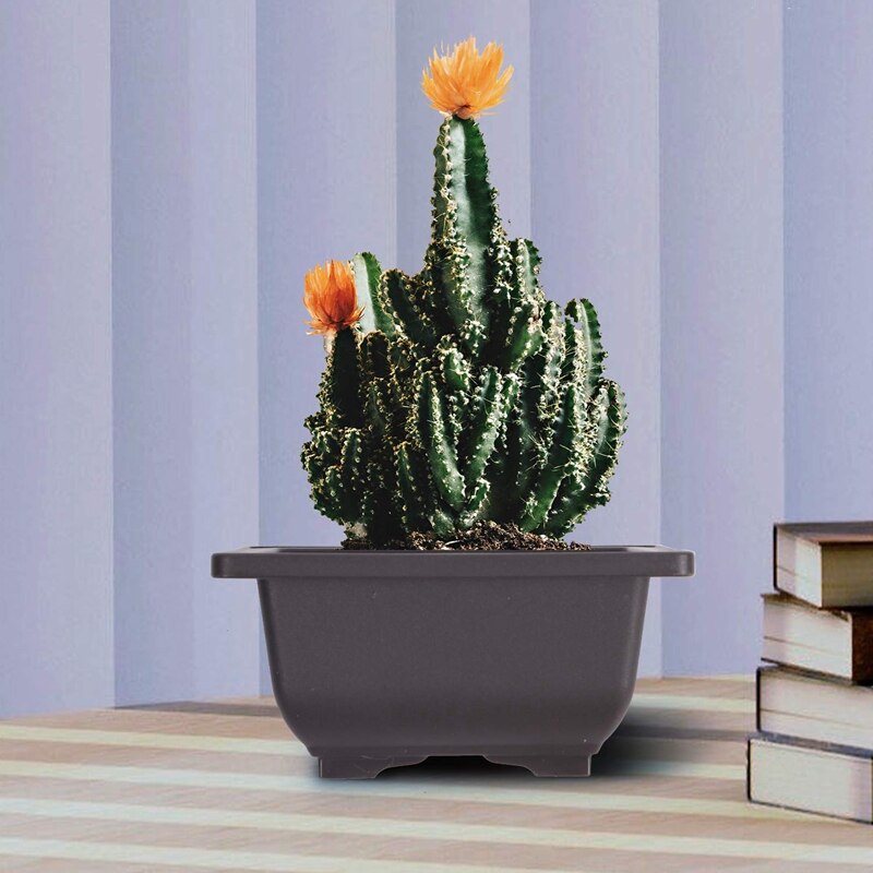 15 Pcs 4.7 Inch Bloempot, Vierkante Plastic Bonsai Training Pot, Bloem Succulent Bloempot Container, voor Tuin, Interieur, Hom