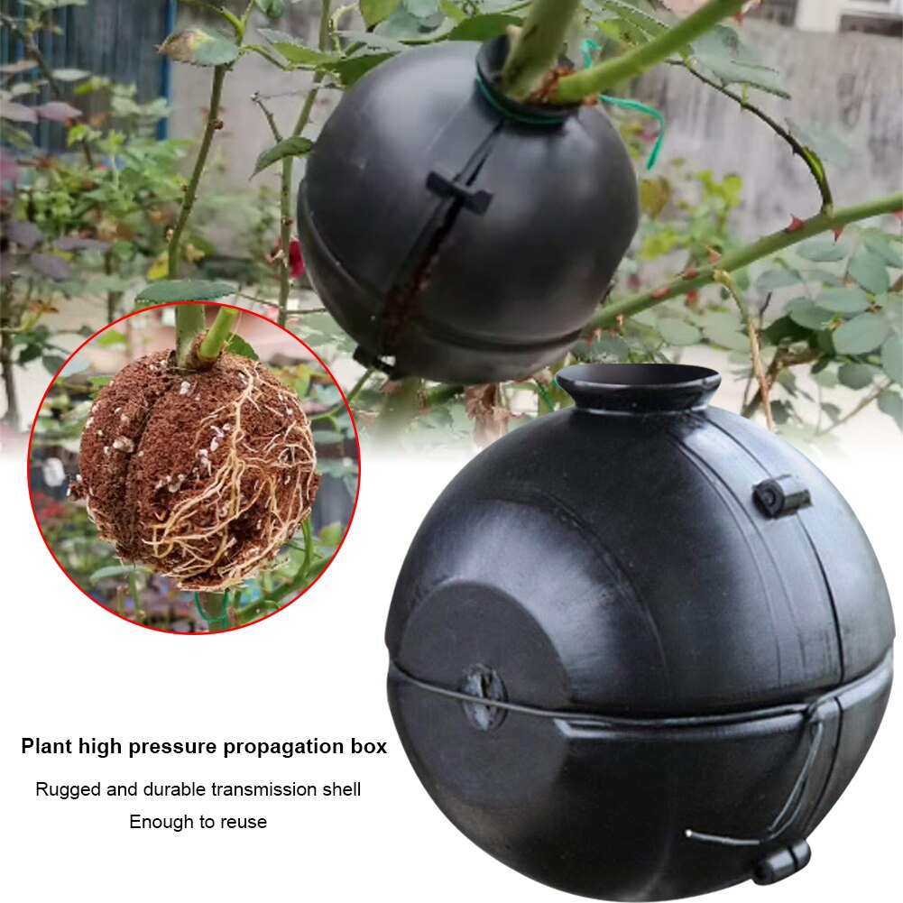Plant Rooting Device High Pressure Indoor Outdoor ... – Vicedeal