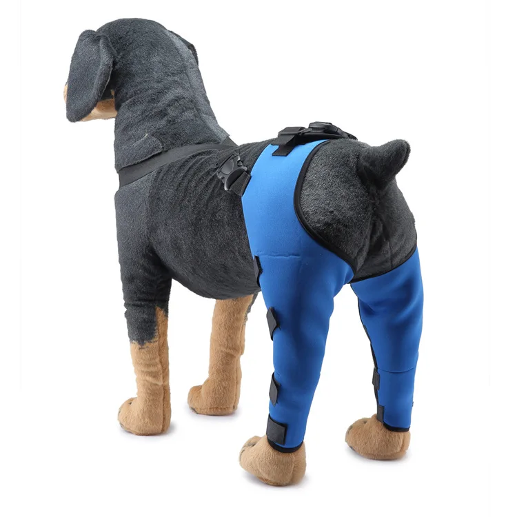 Pet Puppy Knee Pads Dog Back Leg Braces for Injured Dogs Support Brace Injury Joint Wrap Recover Protector Dog Accessories: L / green