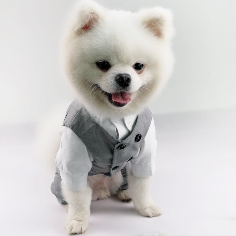 Traje de perro para boda, 4 Patas, Chihuahua, Yorkie, Pomeranian, Schnauzer, Pug, Bulldog Francés, ropa para mascotas