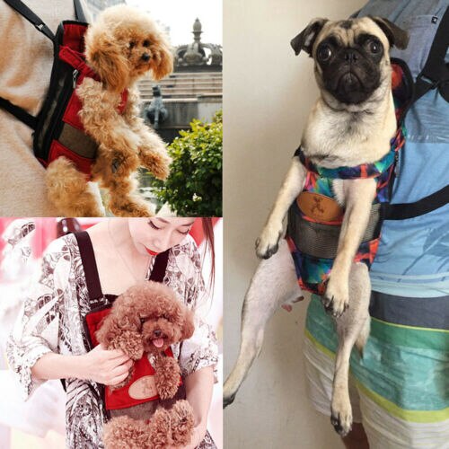 Sac à dos kangourou réglable pour animaux de compagnie, accessoire de transport pour chiens et chats