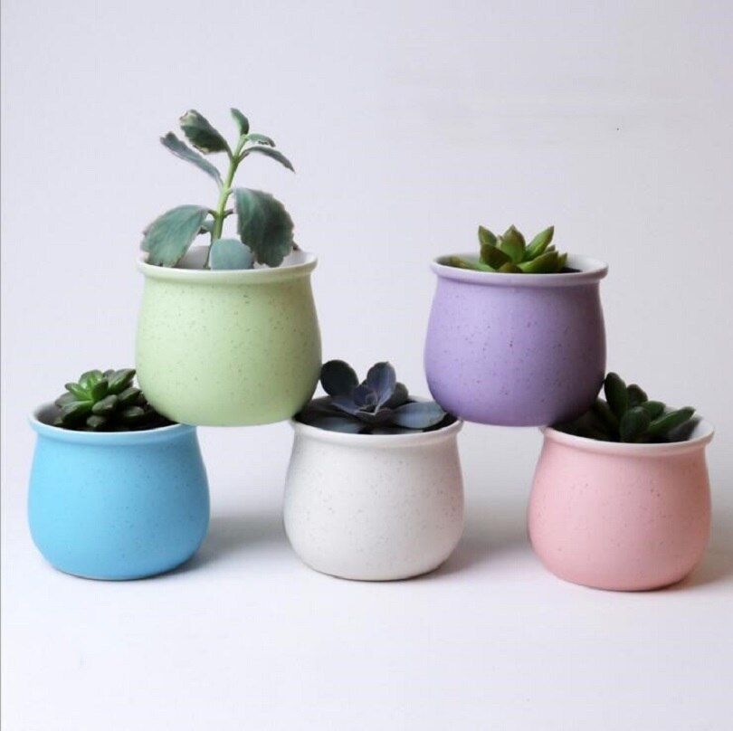 TECHOME-maceta de plantas Multicolor, macarrón de cerámica de alta temperatura, macetas suculentas para flores, decoración de escritorio para el hogar y la Oficina