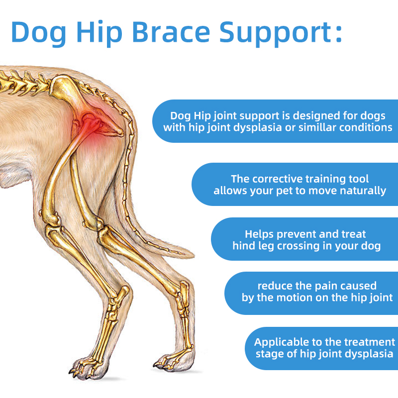 Pets Dogs Hind Leg Guard Recovery Orthodontic Band for Pet Dog Protective Hip Joint Correction Restore Pet Supplies