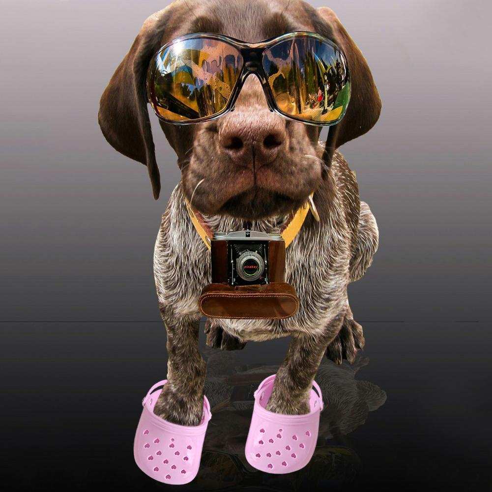 Haustier Schuhe Atmungs Sandalen Für Kleine Hunde Süssigkeit Farbige Löchrigen Schuhe Sommer Hund Schuhe Atmungsaktives Gittergewebe Welpen Für Kleine Haustier