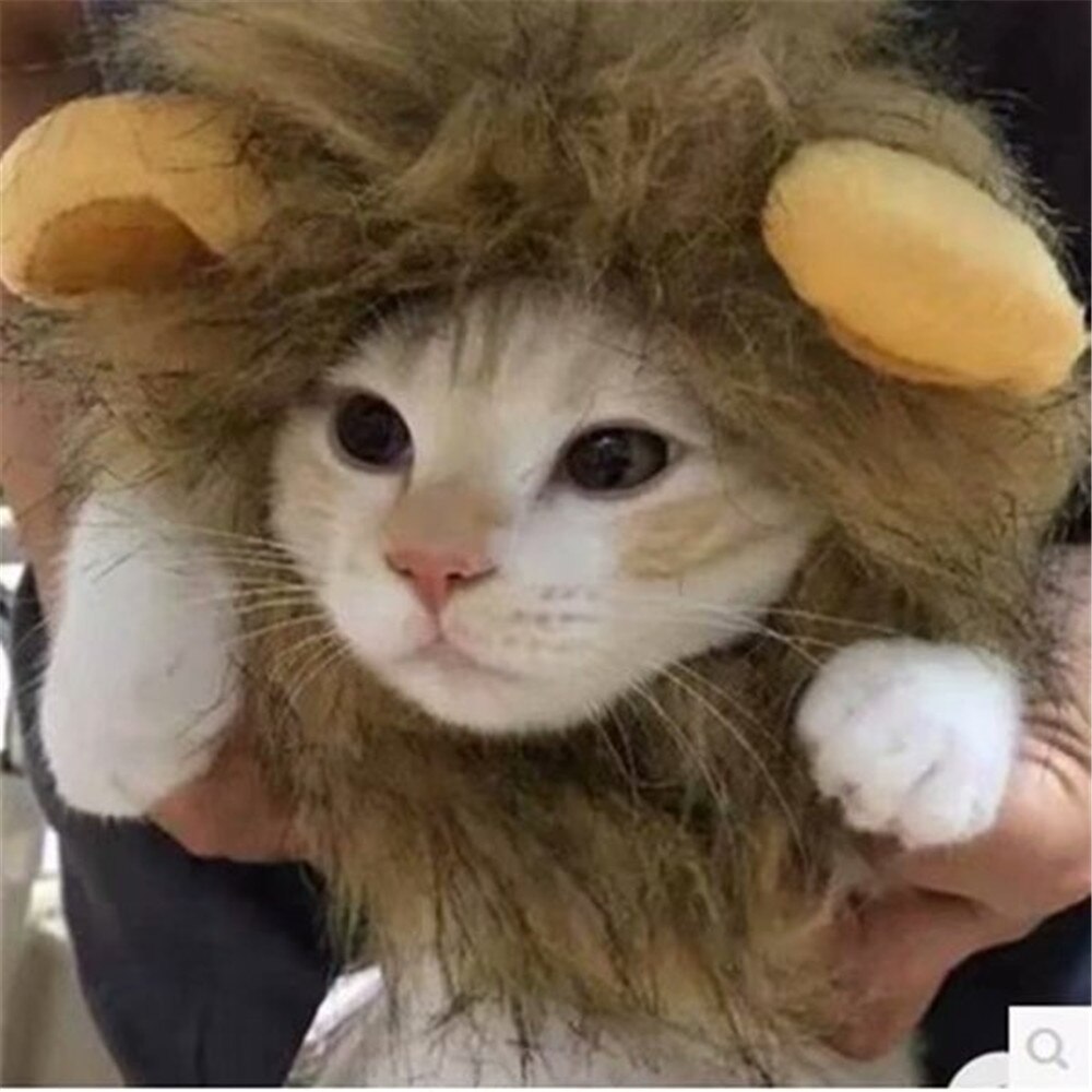 Grappige Leuke Huisdier Kostuum Cosplay Lion Mane Pruik Cap Hoed Voor Kat Halloween Xmas Kleding Fancy Dress Met Oren