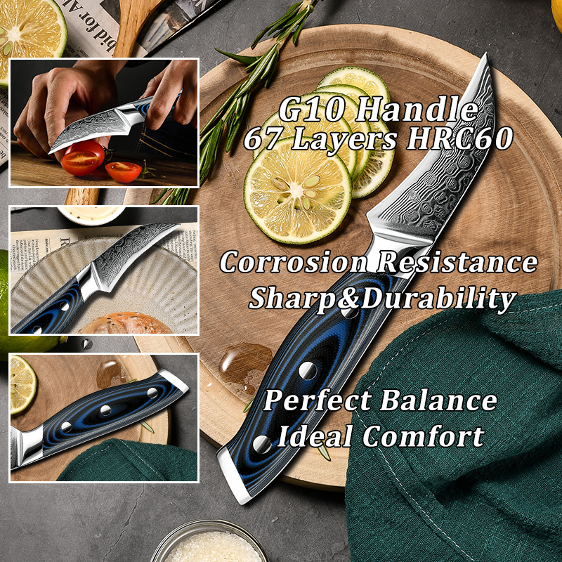 Grandsharp 3.5 Inch Paring Knife vg10 Japanese 67 Layers Damascus Steel Peeling Fruit Kitchen Knife with G10 Handle