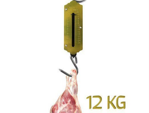 12 Kg Sacrificial Meat Scale