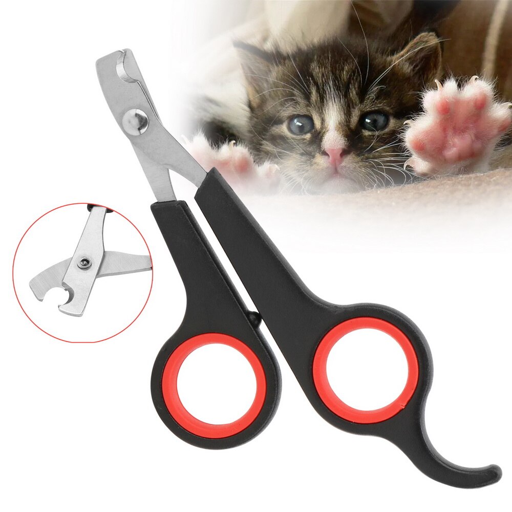 Kæledyr negleklipper kat negleklipper rustfrit stål pleje saks hund negle klipper kat cutter kat klør tå neglepleje