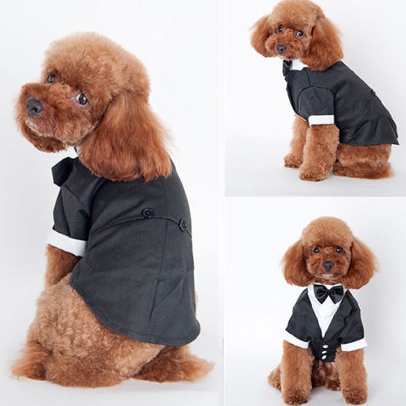 Perro mascota ropa para cachorros de gato traje de boda traje de esmoquin pajarita cachorro ropa de abrigo traje de camisa de cuello XS, S, M, L, esmoquin XL