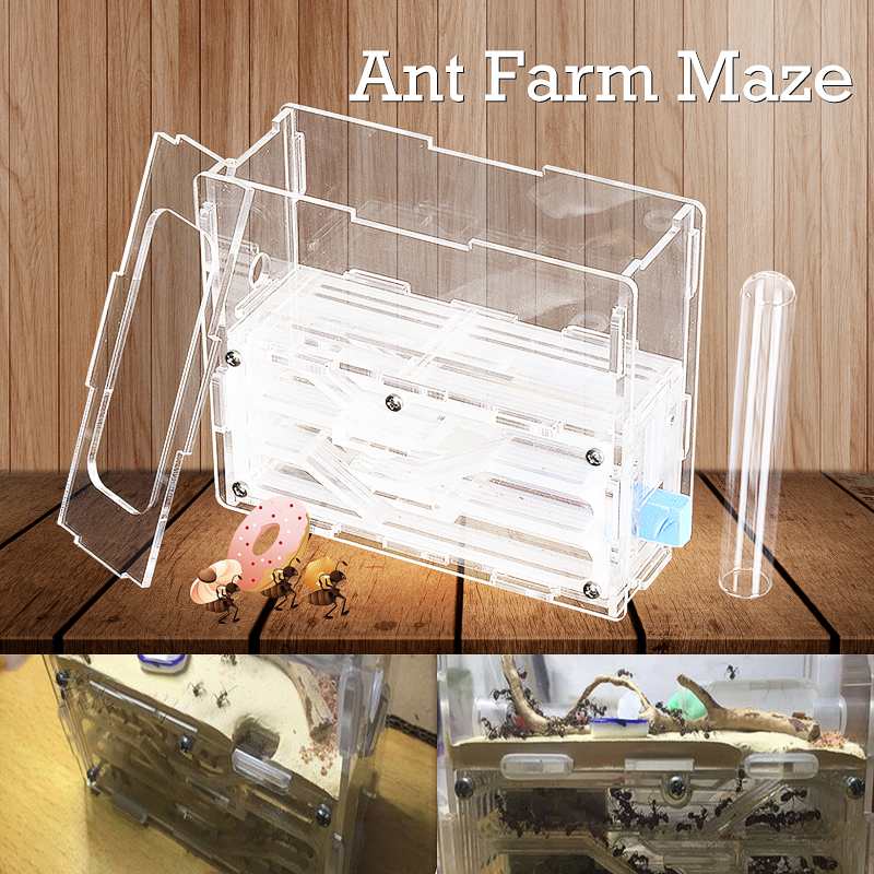 Large Ecological Ant Farm 3.0mm DIY Moisture With Feeding Area Ant Nest Plastic Insect Ant Nests For House Ants 15x5x11CM