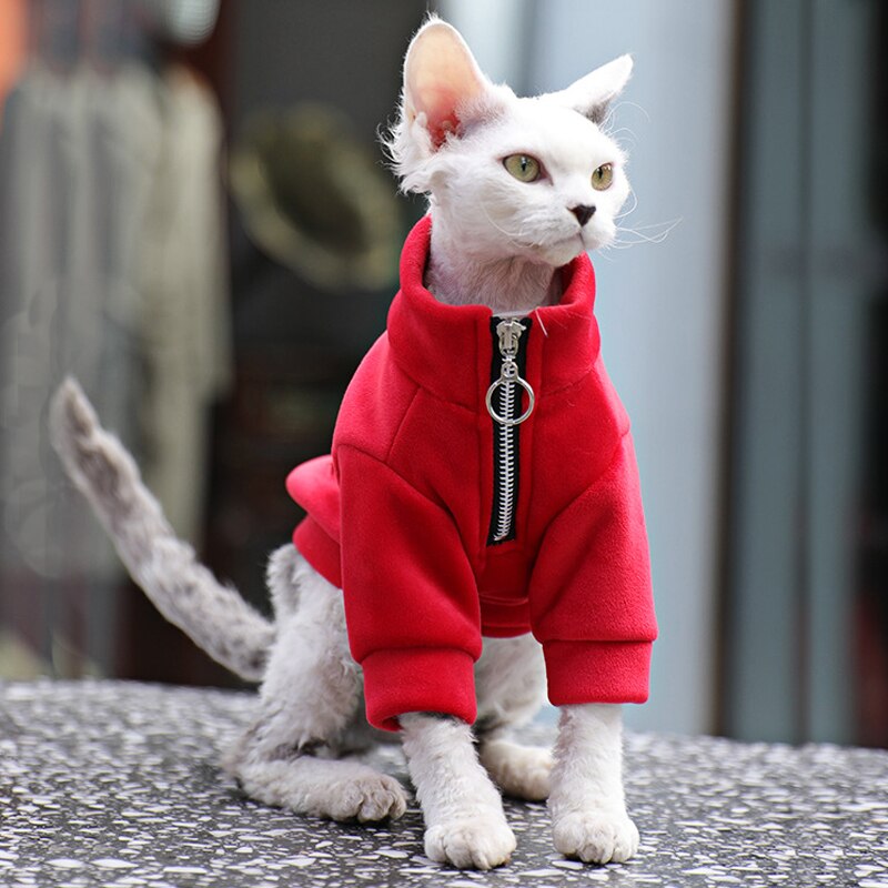 Ropa de invierno para mascotas, abrigo cálido para gato, chaqueta para perro Bulldog francés, chaleco suave para perros pequeños, medianos y grandes, traje Beige para gato