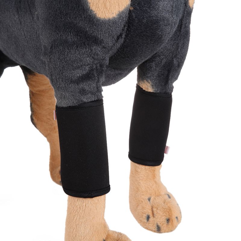 Une paire Canine chien jarret attelle jambe Joint enveloppe protège plaies Compression enveloppe aide arthrite stabilité orthèse pansement