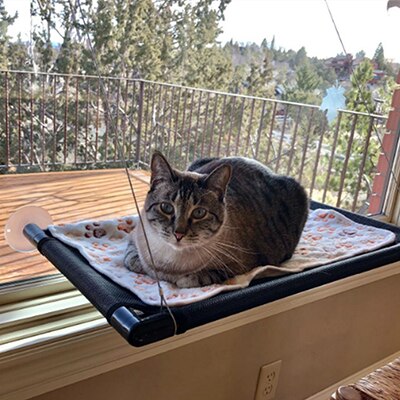 Kat altan hængekøje med 20kg katte solrigt sæde kæledyr vandtæt stof katteseng katteklatring sovemadras enkeltlag dobbelt: Sort enkelt lag 1