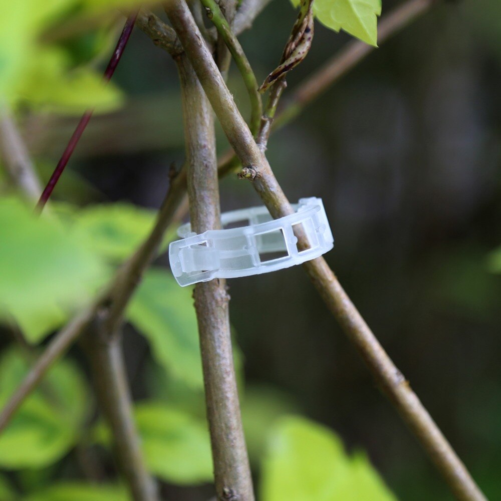 100 stuks tuinplanten entclips voor groenten, bevestigingsmiddelen voor wijnstokken, gesp, vaste bevestigingshaak, landbouwkasclip