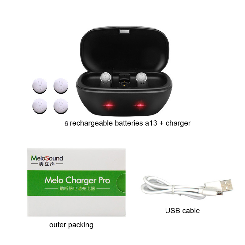Hearing Aid Batteries 13 A13 13A P13 PR48 with Charging Case Rechargeable Cell Button Battery for BTE Hearing Aids Amplifiers: Gold