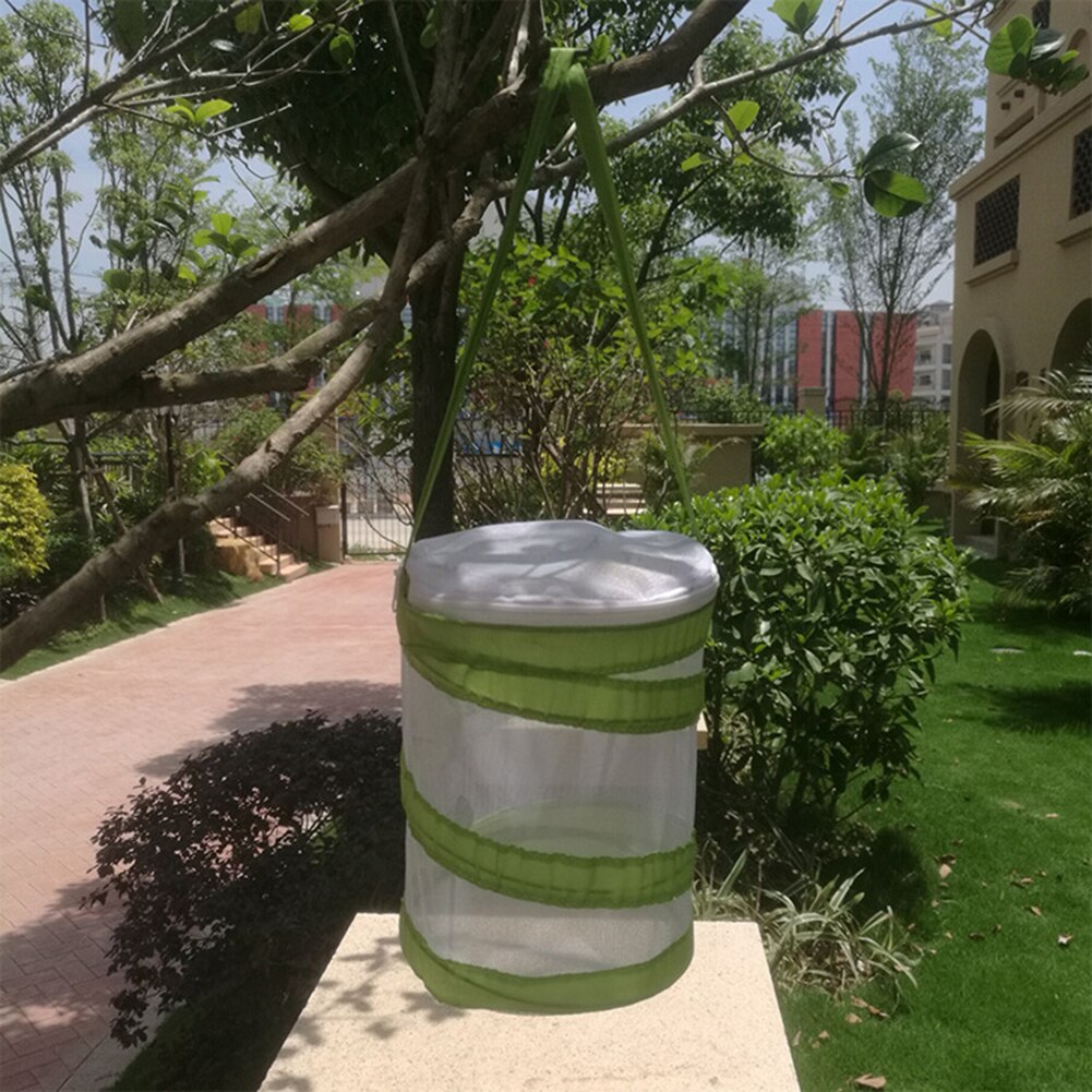 Folding Insect Mesh Cage Butterfly Dragonfly Mantis Breathable Habitat Cage Breeding Feeding Container Catching Terrarium