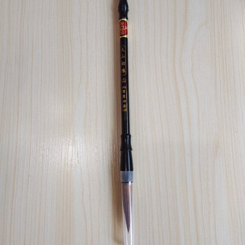 Ensemble de stylos pinceaux de calligraphie chinoise, 5 pièces, brosses à encre, poils de belette traditionnels, fournitures de peinture, boîte de ,