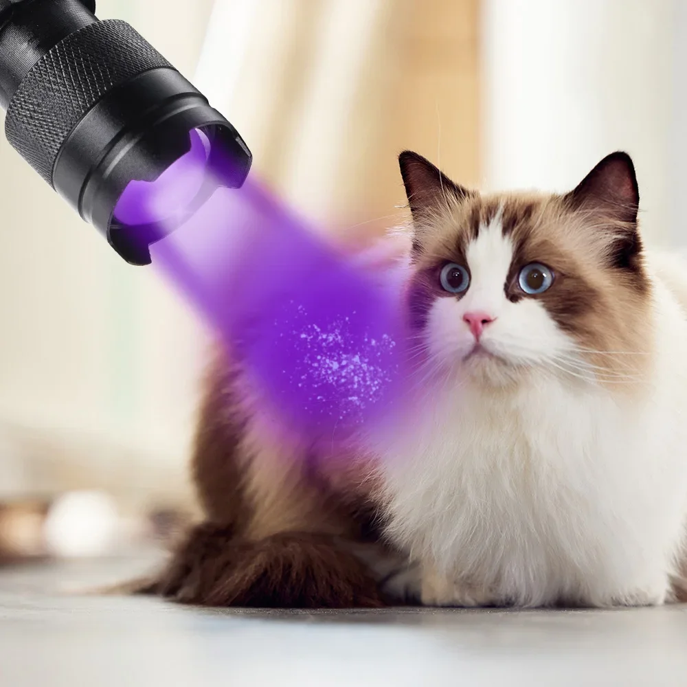 Linterna LED UV de 365/395nm, linterna ultravioleta portátil, lámpara de inspección con zoom, lámparas detectoras de manchas de escorpión y orina de mascotas