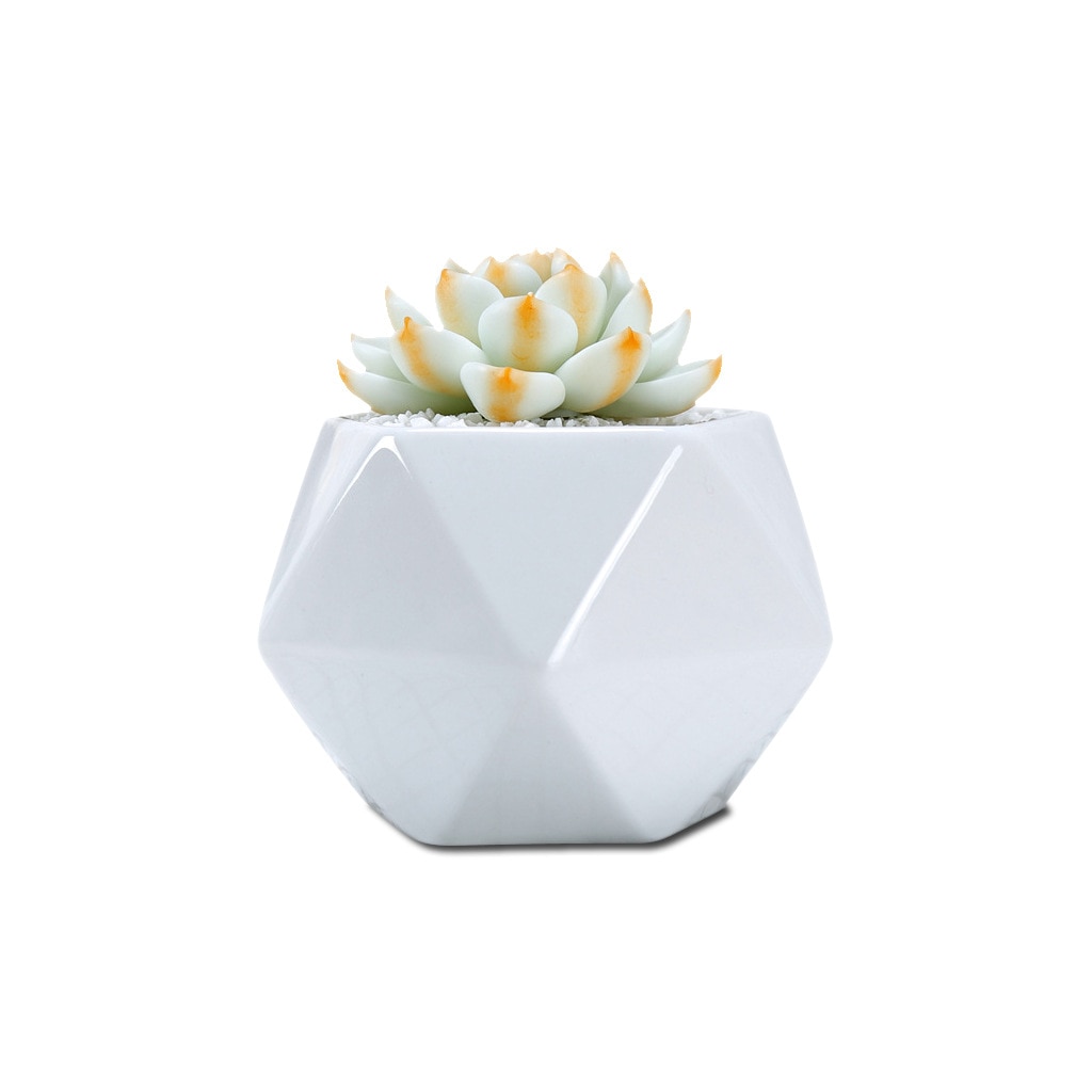 Maceta de flores suculentas de pentagonal con costura triangular de cerámica blanca creativa, maceta casera para Cactus Lithop con maceta de agujero inferior
