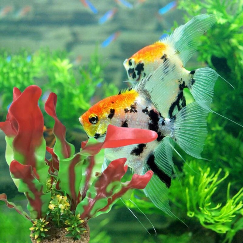 Plastic Plants for Aquarium Plastic Fish Tank Plant Decorations Simulation Decor