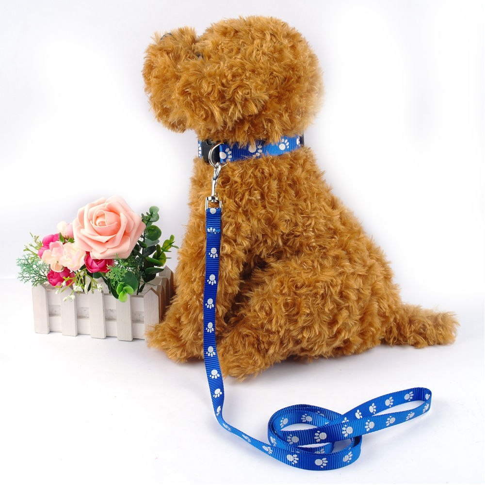 1.0 cm Nylon Kleine Hond Puppy Kraag en Lood Set Pootafdruk Leuke voor Yorkie Chihuahua