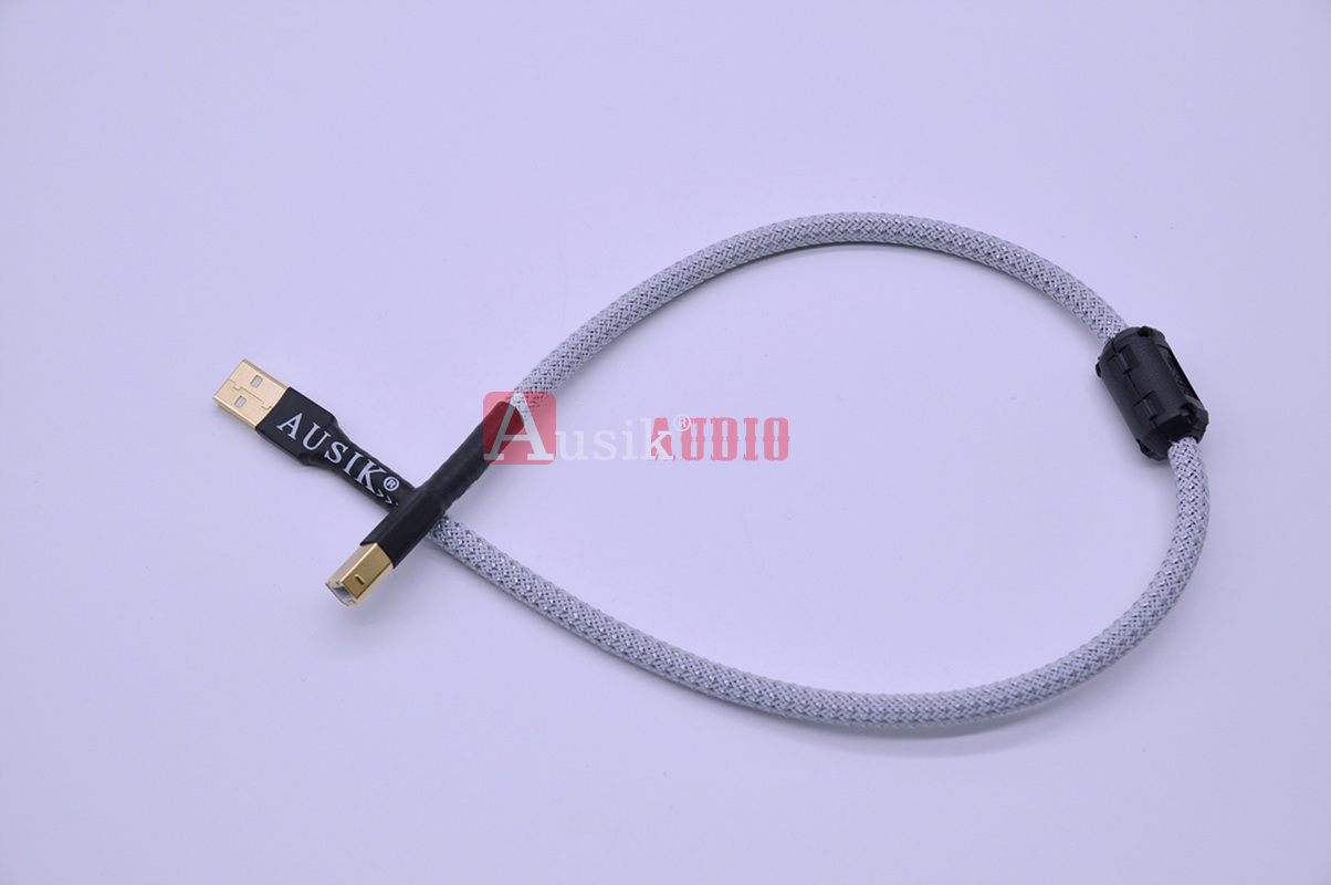 Cavo audio HiFi USB 2.0 tipo A a B/cavo audio Canare Cavo dati USB per PC MP3 CD DVD Amplificatore DAC
