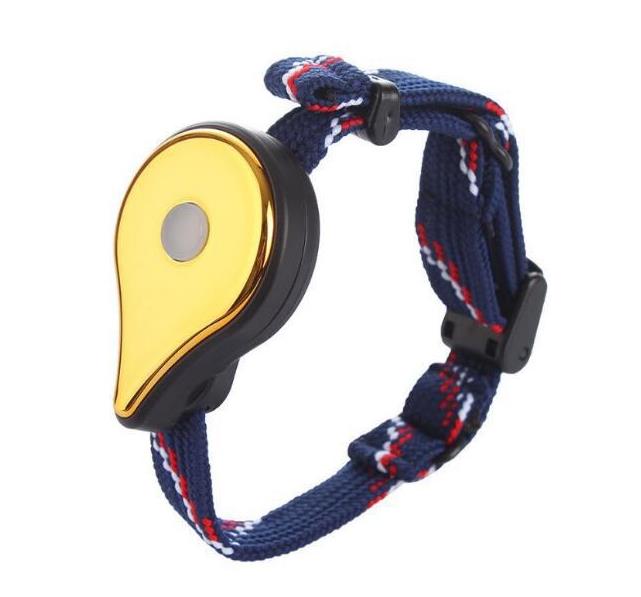 Pulsera de bolsillo con batería GO Plus, accesorio con correa compatible con Bluetooth, capturador automático, figuritas de fantasía recargables, 1 unidad: battery gold