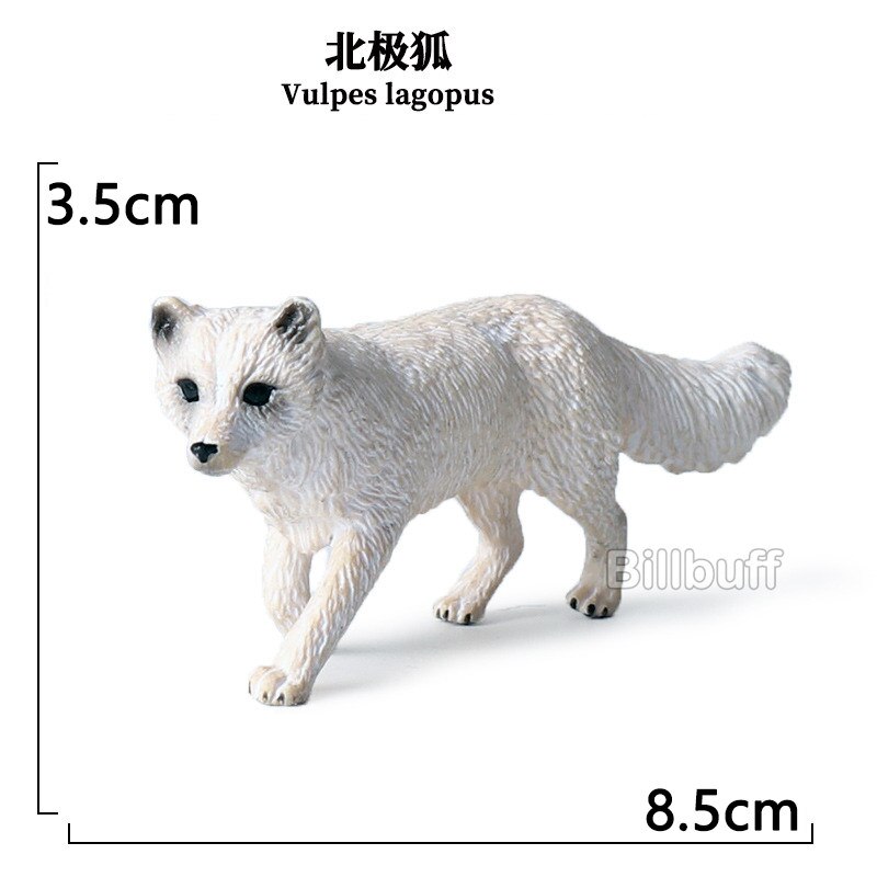 Simulatie Wilde Dieren Zoo Action Figure Vulpes Fox Cub Model Eekhoorn Actiefiguren Vroege Educatief Speelgoed Voor Kinderen: animal toy l