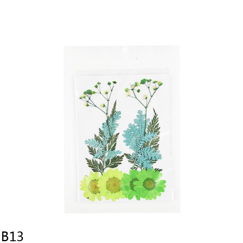 100 stuks gedroogde gipskruid, paars, droge bloemen, doe-het-zelf, gedroogde geperste bloemen, voor botanische specimens, fotolijsten, wenskaarten