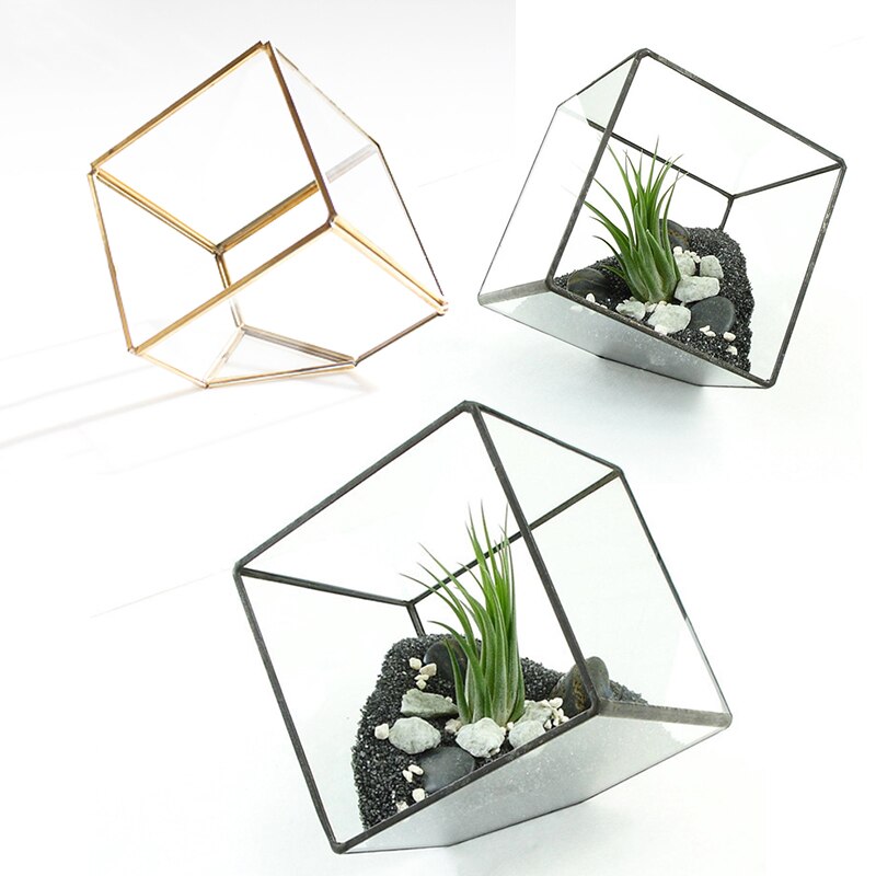 Irregular Glass Geometric Terrarium Tabletop Box Flower Planter Large 10*10cm