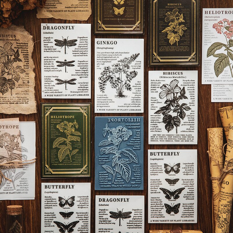 Retro Plants Specimens Background Stamp Journal Butterfly Rubber Stamp for scrapbooking stationery DIY craft standard stamp