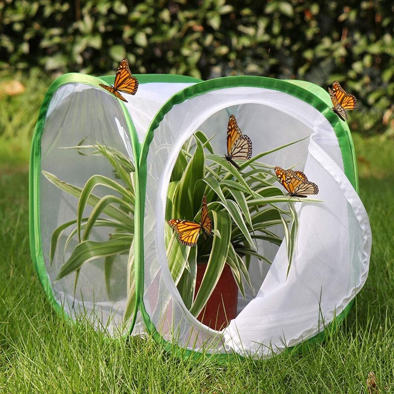 Insekten und Schmetterling Lebensraum KäFeige Terrarium -hoch 12x12x12 Zoll (Weiß + grün)