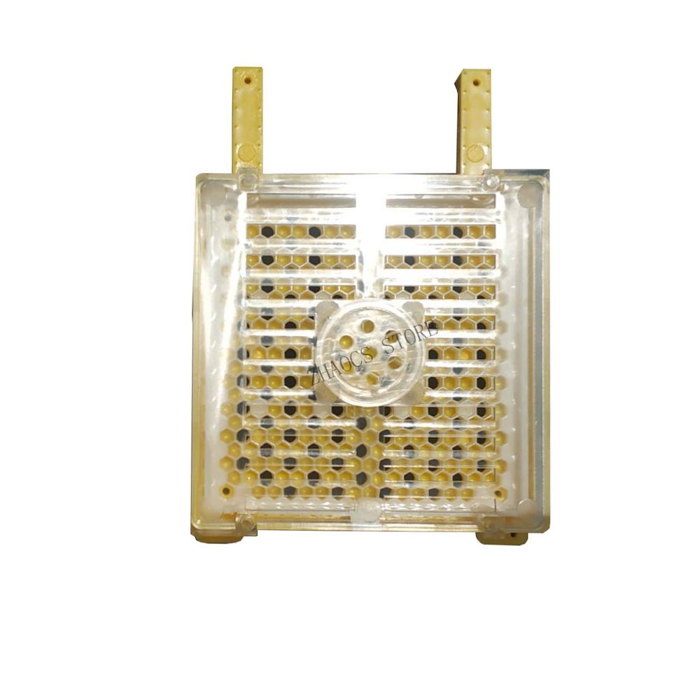 1 kit Queen Rearing System And Royal Jelly Producing for Apis mellifera no need Shift Migratory bee larvae beekeeping tools