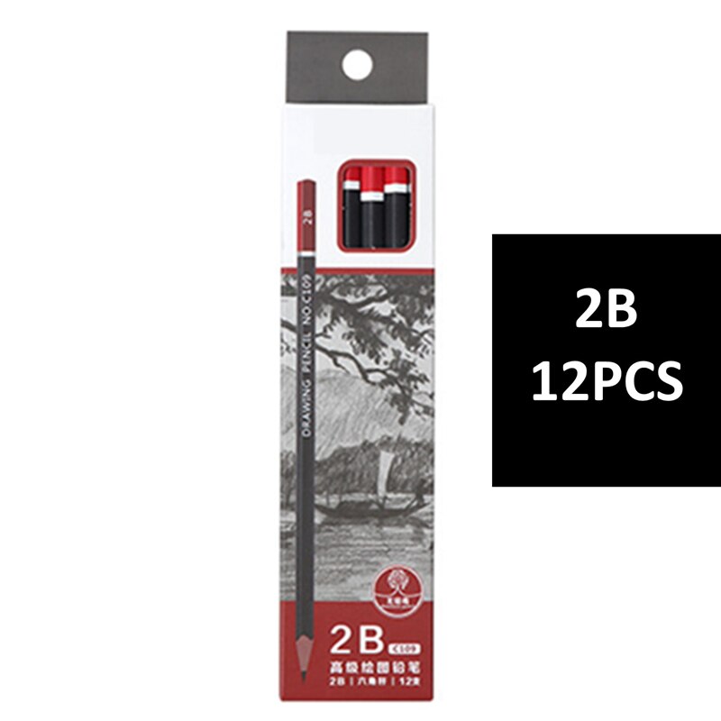 12 PCS/Pack Drawing Set Pencil Stationery Store Office School Art Supplies Painting Sets For Artist`s Tools: 2B