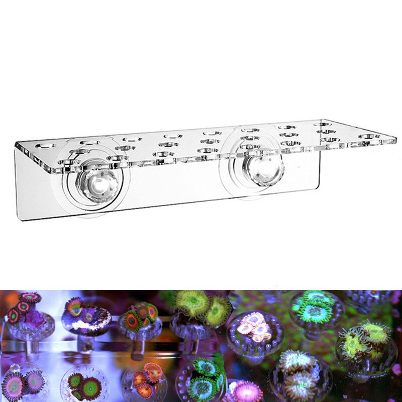 Coral fish tank SPS broken limb coral base. Coral fixing bracket. Coral fixing frame. Aquatic fish tank fixing tray