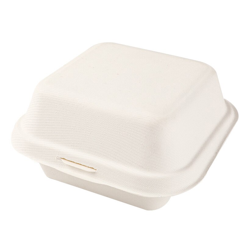 20Pcs Disposable Lunch Box Eco-Friendly Bakery Container Fruit Hamburger Cake Meal Prep Packaging: White
