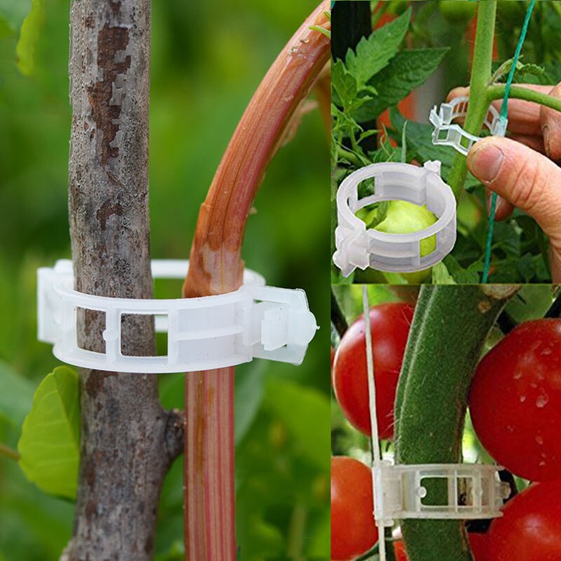 50/100 25mm herbruikbare klemmen, plastic plantensteunclips voor hangende planten, wijnranken, tuinkas, groenten, tomatenclips