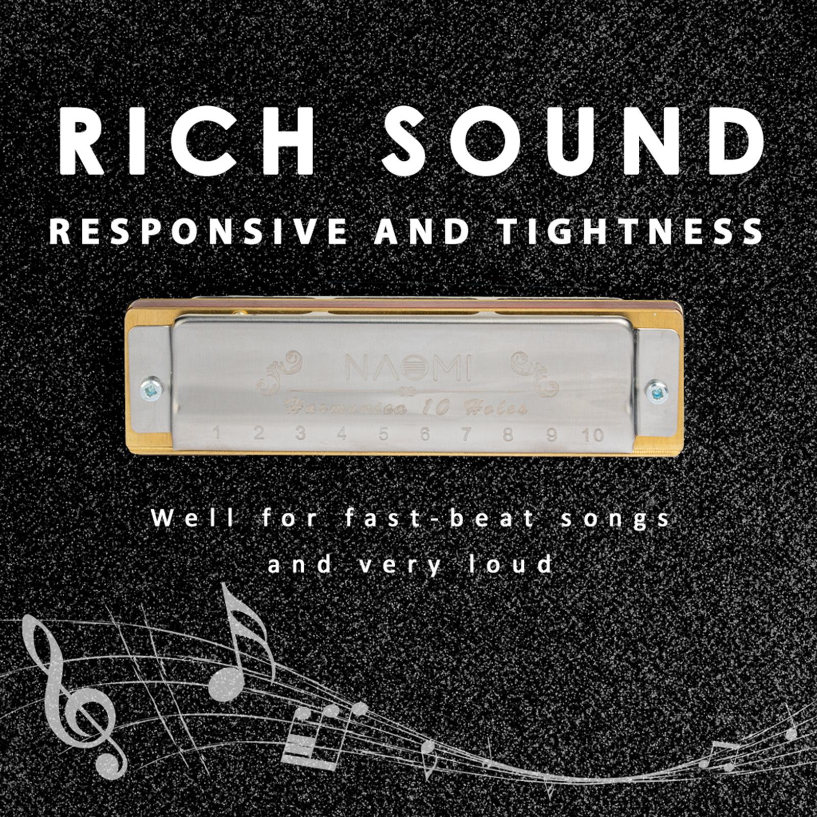 10 Holes Harmonica Mondharmonica Voor Volwassenen Beginners Muzikanten Muziek Liefhebbers Professionals