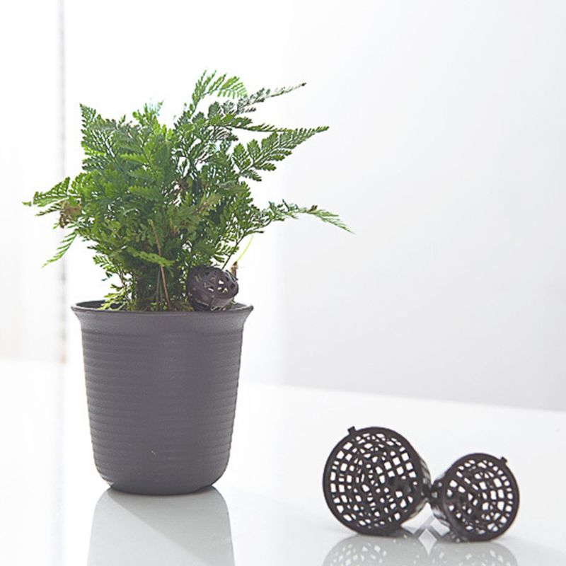 100 Pcs/pack panier d'engrais pour Pot de fleur Osmocote bonsaï orchidée plantes