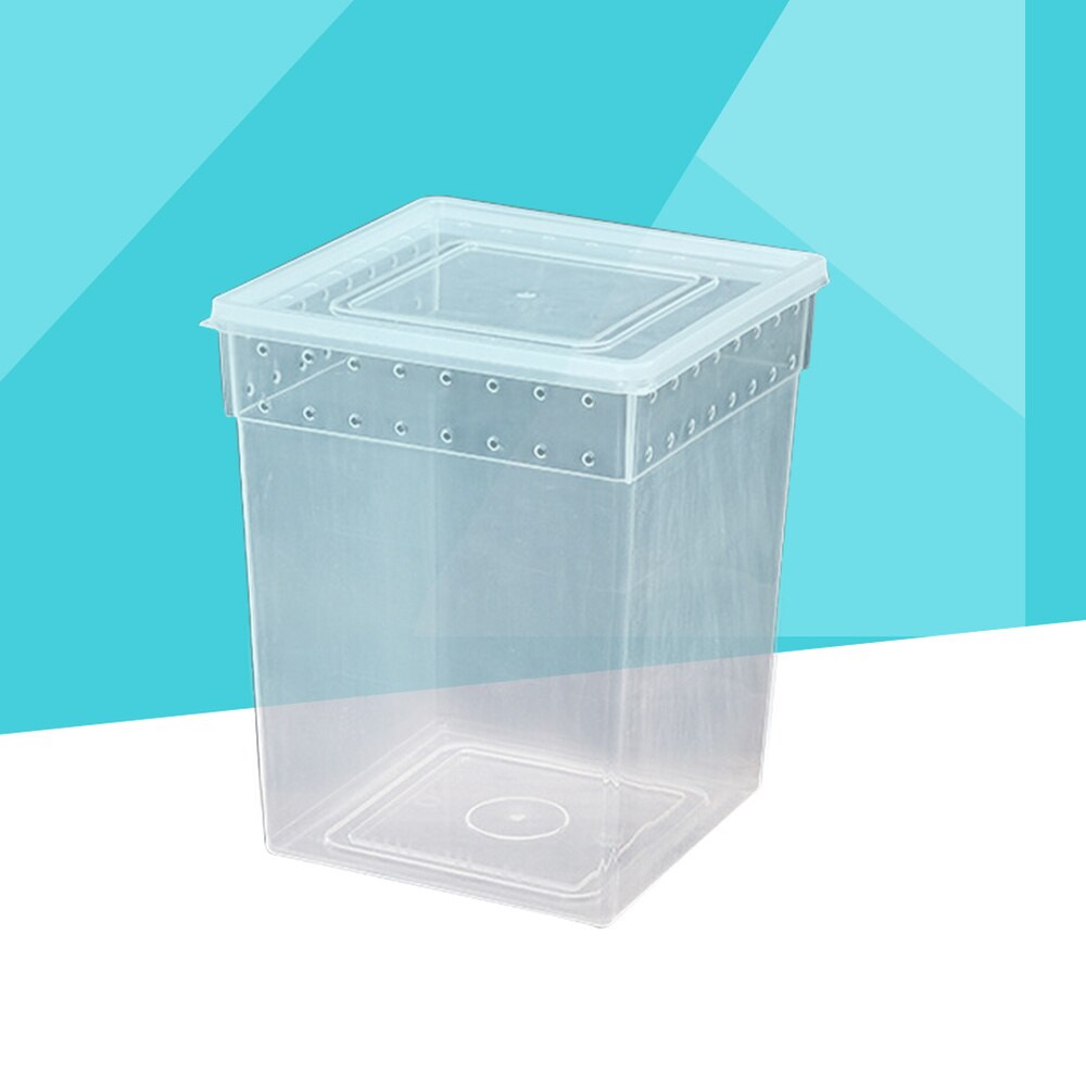 Reptile Box Climbing Pet Feeding Container Special Transparent Breeding Box for Spider Lizard Tree