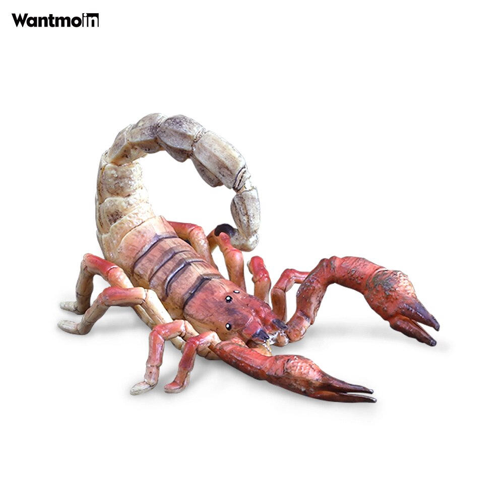 World-famous Dangerous Poisonous Wild Animal with Honey badger spider mosquito monitor lizard scorpion centipede snake Halloween