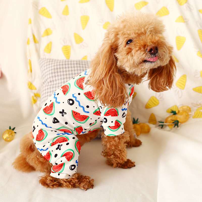 Vêtements pour petit chien vêtements pour animal de compagnie manteau Plaid coton vêtements pour animaux de compagnie sweats à capuche Chihuahua animaux chiens vêtements pyjamas Costume: Watermelon design / XL