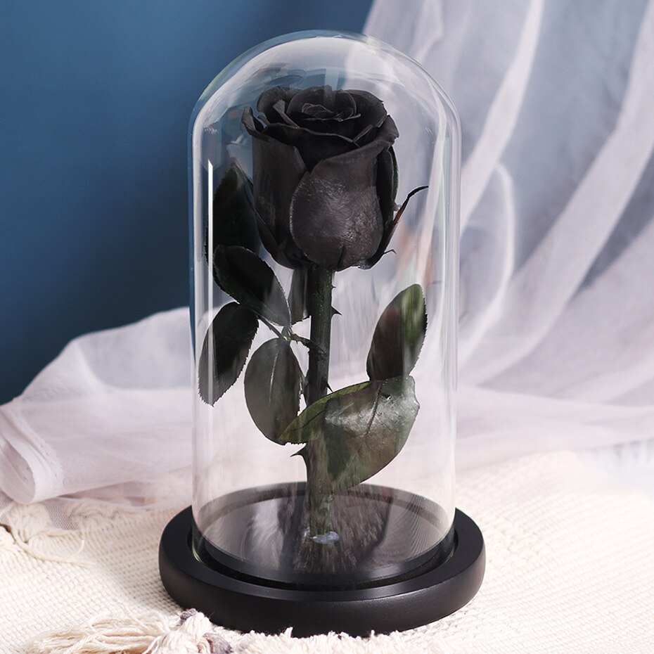 Torkade blommor konserverade rosor i glasskåpa med nattljus ornament bröllop alla hjärtans dag jul år heminredning: Svart