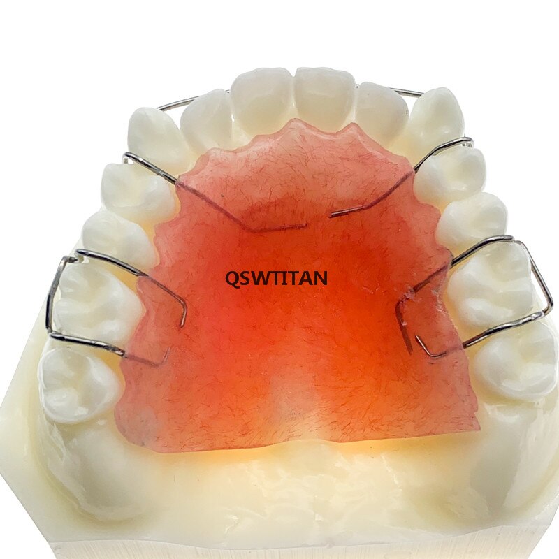 Retainer demo model Maxillary retainer tooth model... – Vicedeal