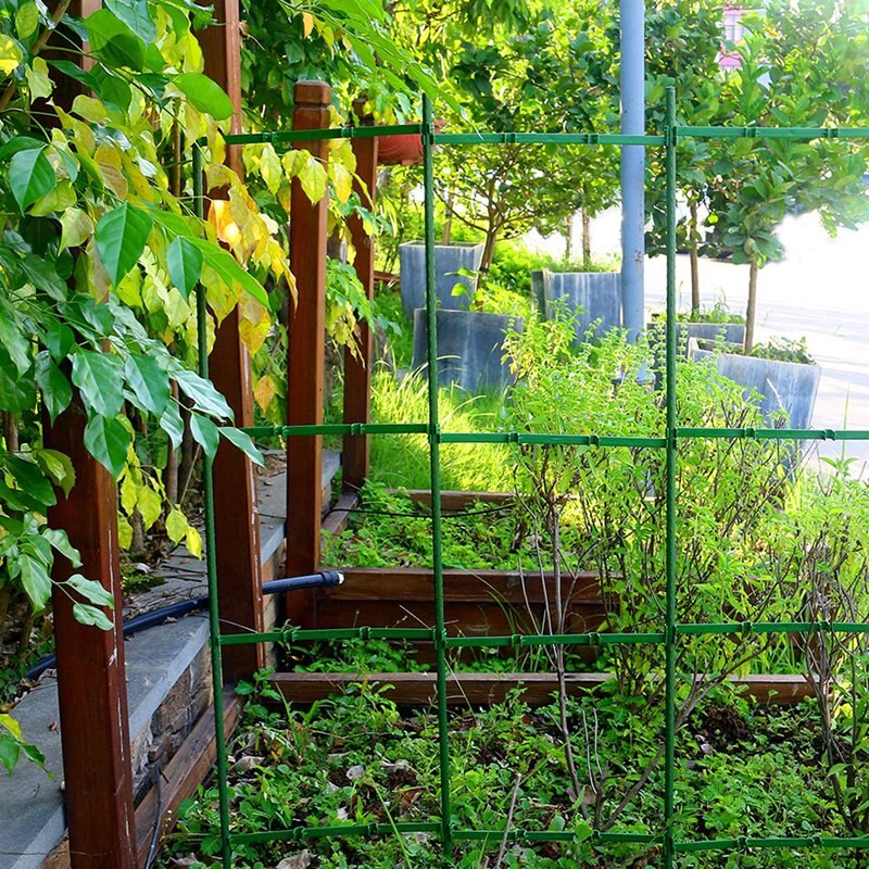 20 braços da estaca dos pces para a gaiola do tomate, haste plástica ajustável da conexão da estaca da planta para todas as estacas da planta do diâmetro de 11mm