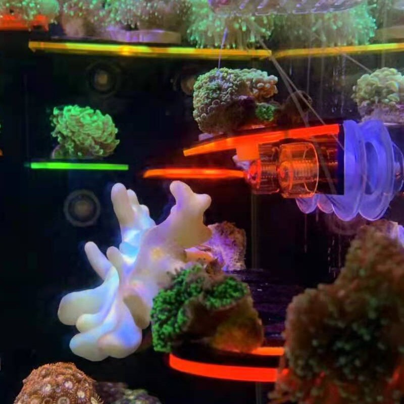 Fluorescence Coral Frag Rack Acrylic Cultivating Coral Holder Bracket LPS Bracket Mount Tool Marine Reef Tank Landscaping